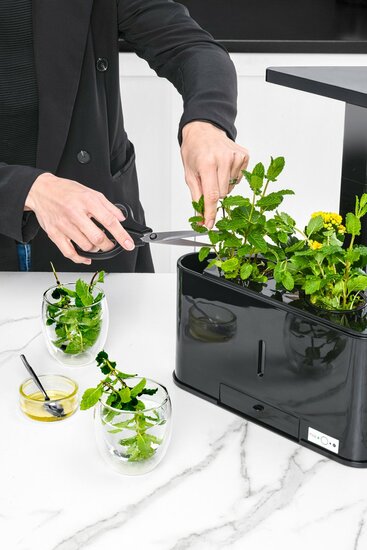 TEIG Home 3 &ndash; Slimme Indoor Kweekbak met LED Verlichting &ndash; Zwart